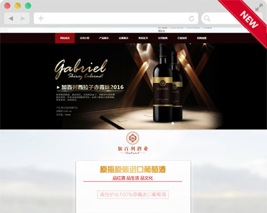 東莞加百列酒業網站建設案例