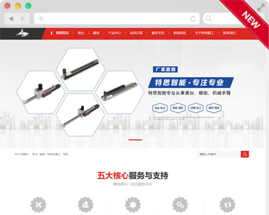 特思精工(gōng)品牌網站設計案例
